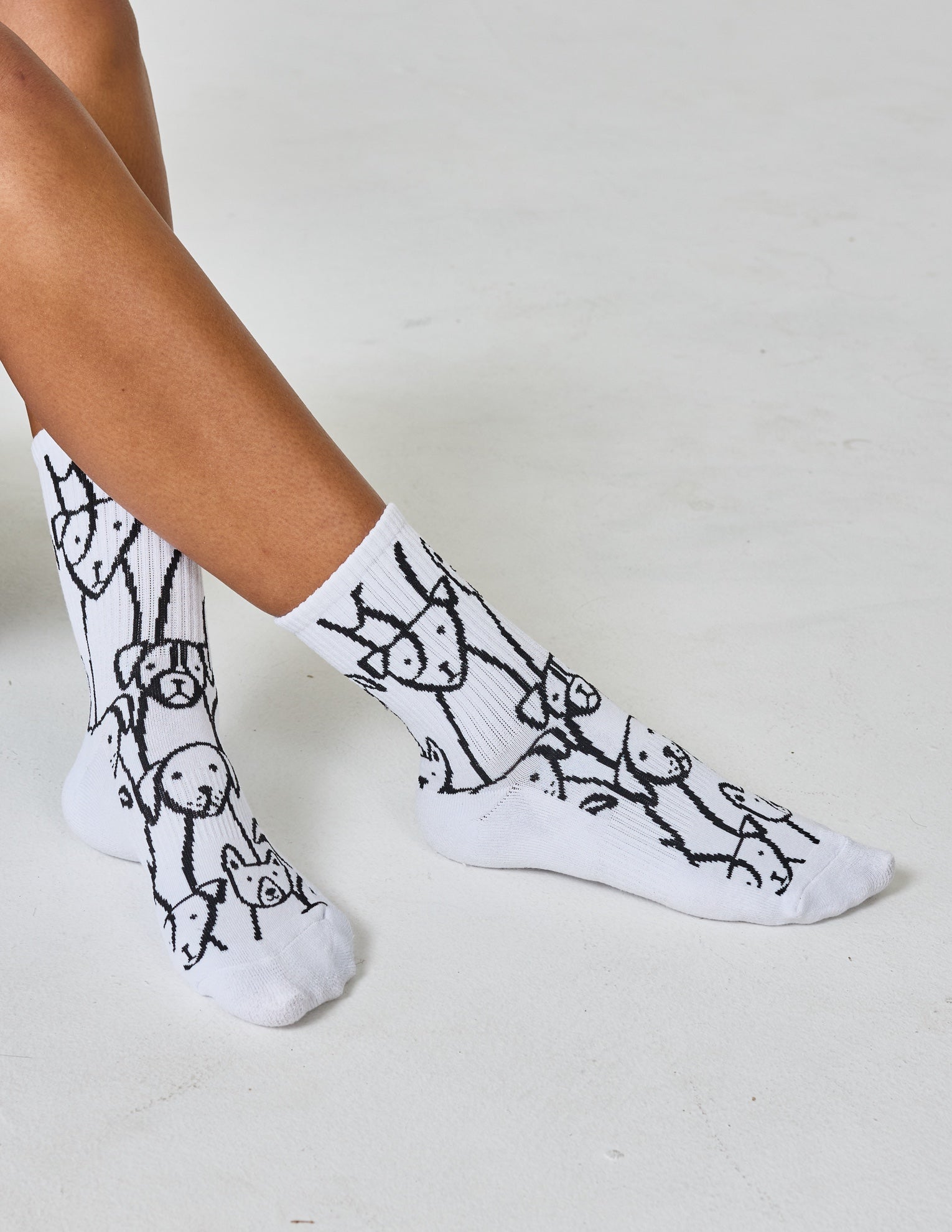 Everyday Dog Sock